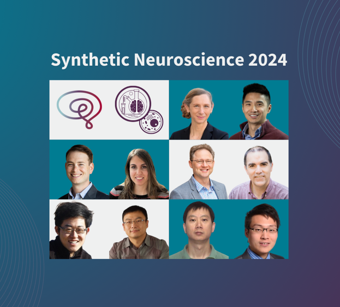 Synthetic neuroscience grants promote transformative brain tech